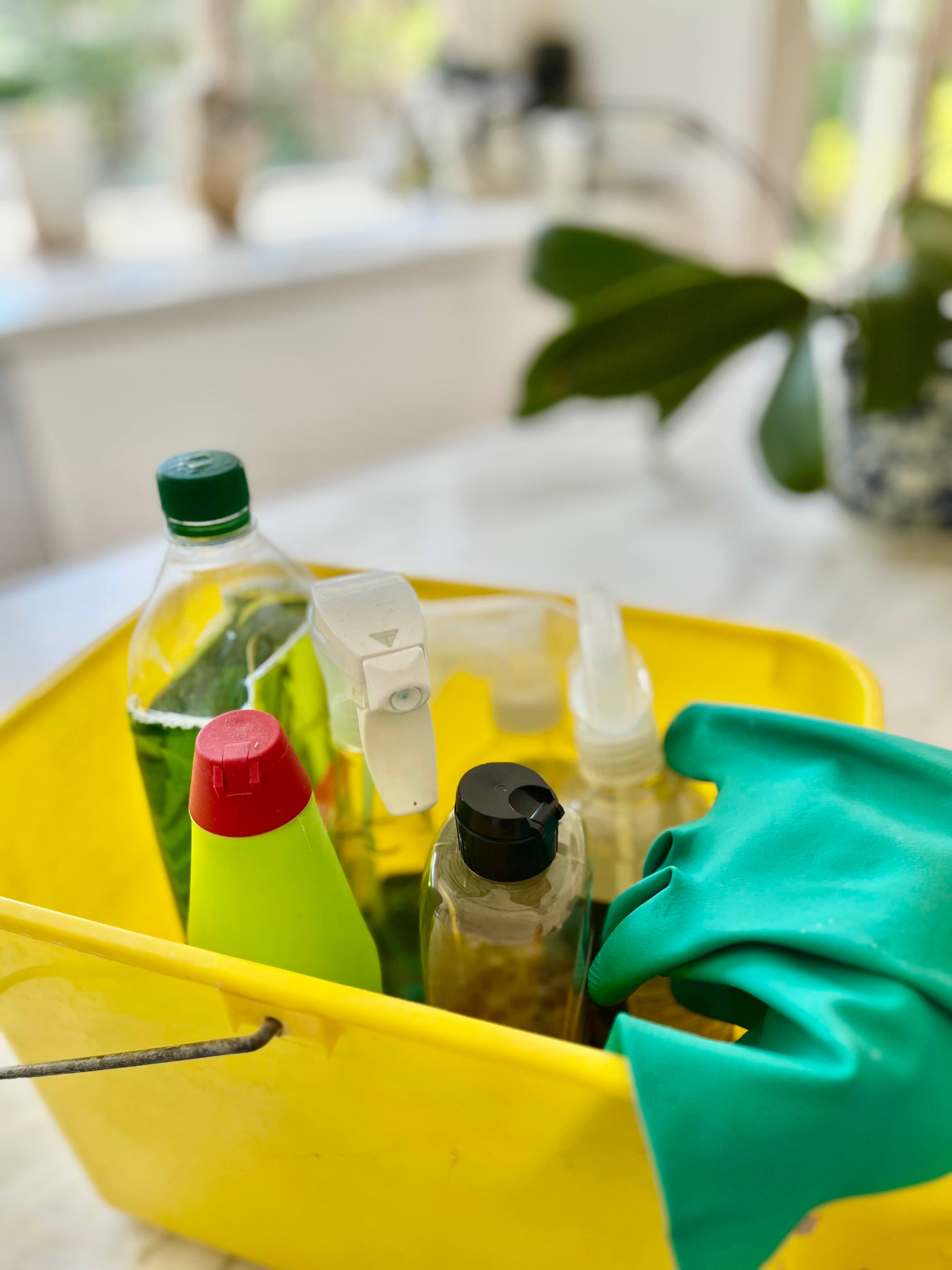 End-of-lease clean in an empty apartment